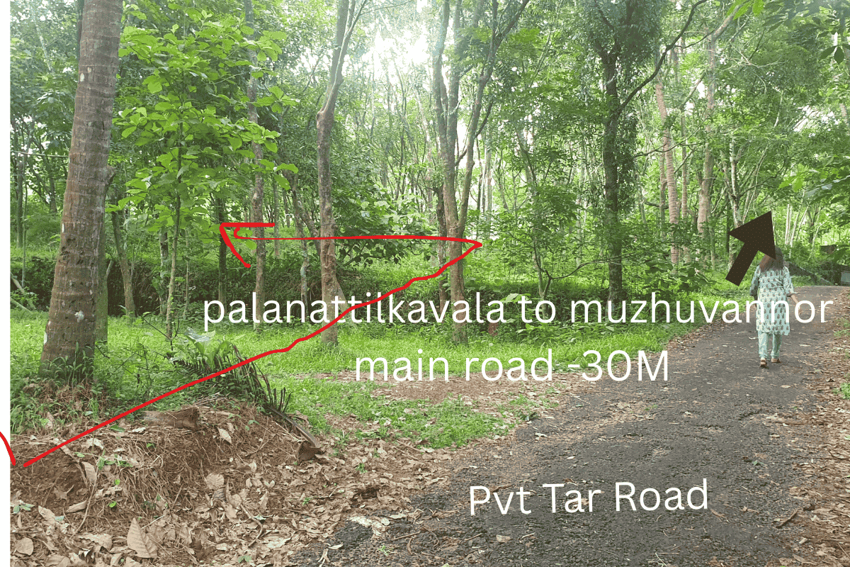Ernakulam